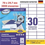 Этикетки самоклеящиеся Avery Zweckform Европа-100, белые, 70 x 29.7 мм, 30 штук на листе, 100 листов