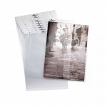 Файл А4 Durable, пластик, вертикальный, 10 штук