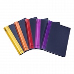 Папка Durable Duralook Color, с 40 впаянными карманами, А4, корешок 25 мм,, полипропилен